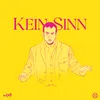 About Kein Sinn Song