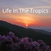 Life In The Tropics