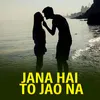 About Jana Hai to Jao Na Song