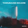 About Thousand Scars Song