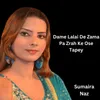 About Dame Lalai De Zama Pa Zrah Ke Ose Tapey Song