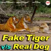 About Fake Tiger vs. Real Dog Song