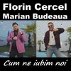 About Cum ne iubim noi Song