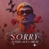About SORRY Song