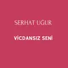 About Vicdansız Seni Song