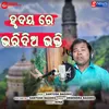 About Hrudaya Re Mora Bharidia Bhakti Song