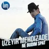 About Ne Budim Spat Song