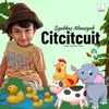 About Citcitcuit Song