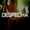 About Despecha Remix Song