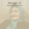 Nane Gilani - 23 اجرای قطعه میرزا کوچک خان