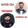 About Mardin Cidası Bisk Yeni Halay Song