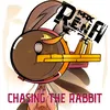 About Chasing the Rabbit Song