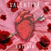 About Valentine Song