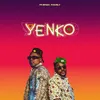 About Yenko Song