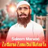 About Za Darna Zama Bal Watan Ta Song