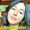 About Spina jalai Song