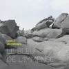 About Le Bleu de l'Immense Song