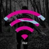 About WIFI Song