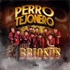 About Perro Tejonero Song