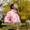 About Mio dolce nonno Song