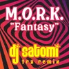 About Fantasy Dj Satomi Trz Remix Edit Song