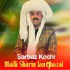 Malik Sharin Jan Ghazal