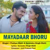 About Mayadaar Bhoru Song