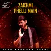 About Zakhmi Phelu Main Song