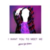 About I Want You to Meet Me Song