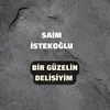 About Bir Güzelin Delisiyim Song