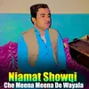 Che Meena Meena De Wayala