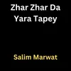 About Zhar Zhar Da Yara Tapey Song