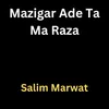 About Mazigar Ade Ta Ma Raza Song