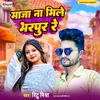 About Maja Na Mile Bharpur Re Song