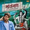 About Bholenaath Song