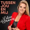 About Tussen Jou En Mij Song