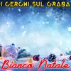 About Bianco Natale Song