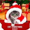 Cat Christmas