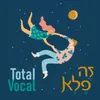 About זה פלא Song