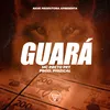 About Guará Song