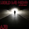 About Hold Me Now USA Radio Remix Song