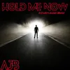 About Hold Me Now Wizard's Radio Remix Song
