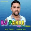 About Dj Pande Laga Mera Gaana Song