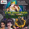 About Hey Nath Narayana Vasudevaha Song