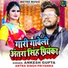 About Gari Gaveli Antara Singh Priyanka Song