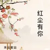 About 红尘有你 Song