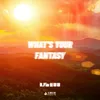 About What's Your Fantasy Song