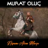 About Nizamı Alem Marşı Song