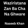 About Waziristana Zan Ba Cha Na Ghware Song