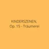 About Kinderszenen, Op. 15: No. 7, Träumerei Song